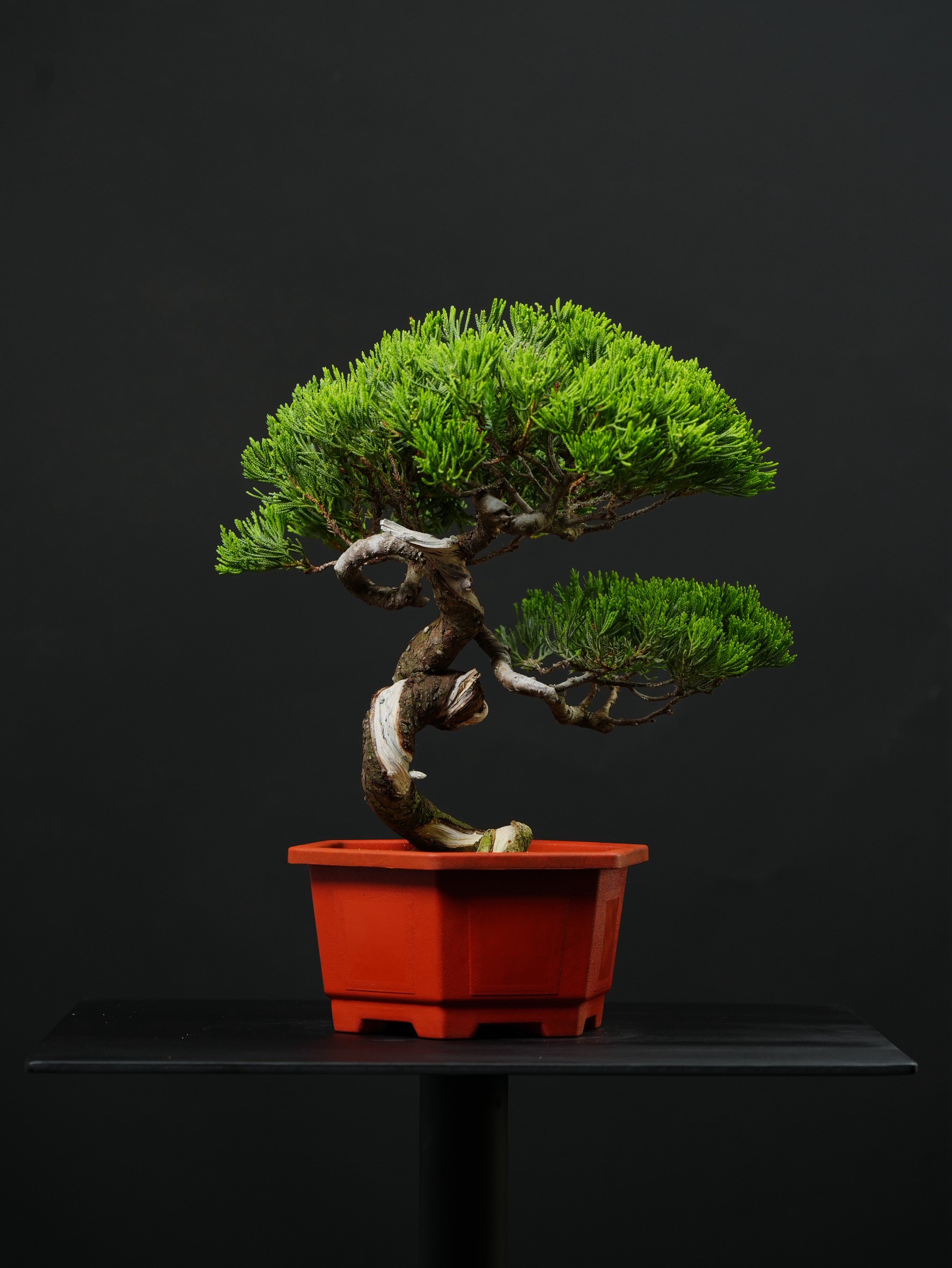 尺寸：寬32CM 高38CM 深35CM