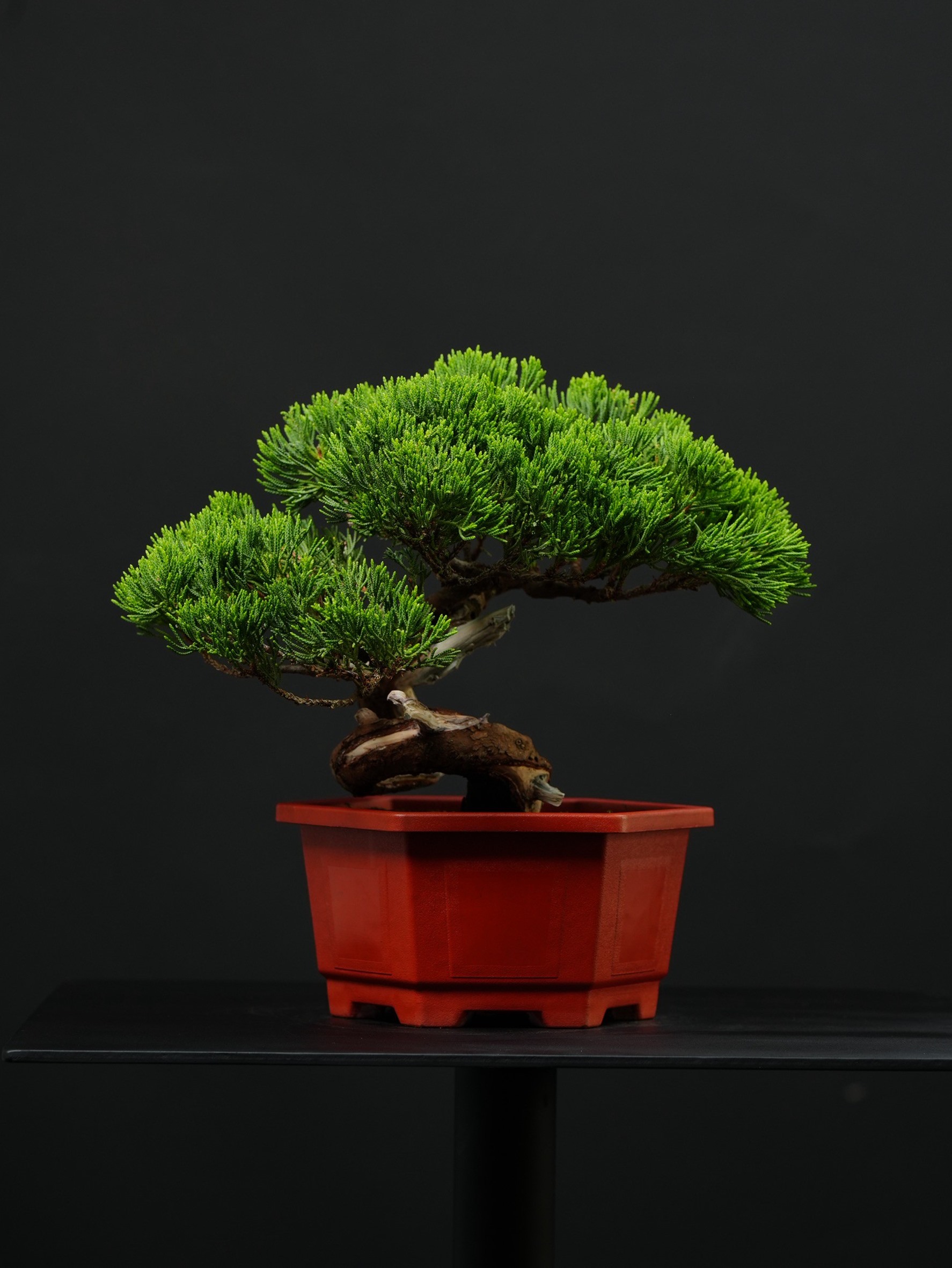 尺寸：寬32CM 高32CM 深26CM