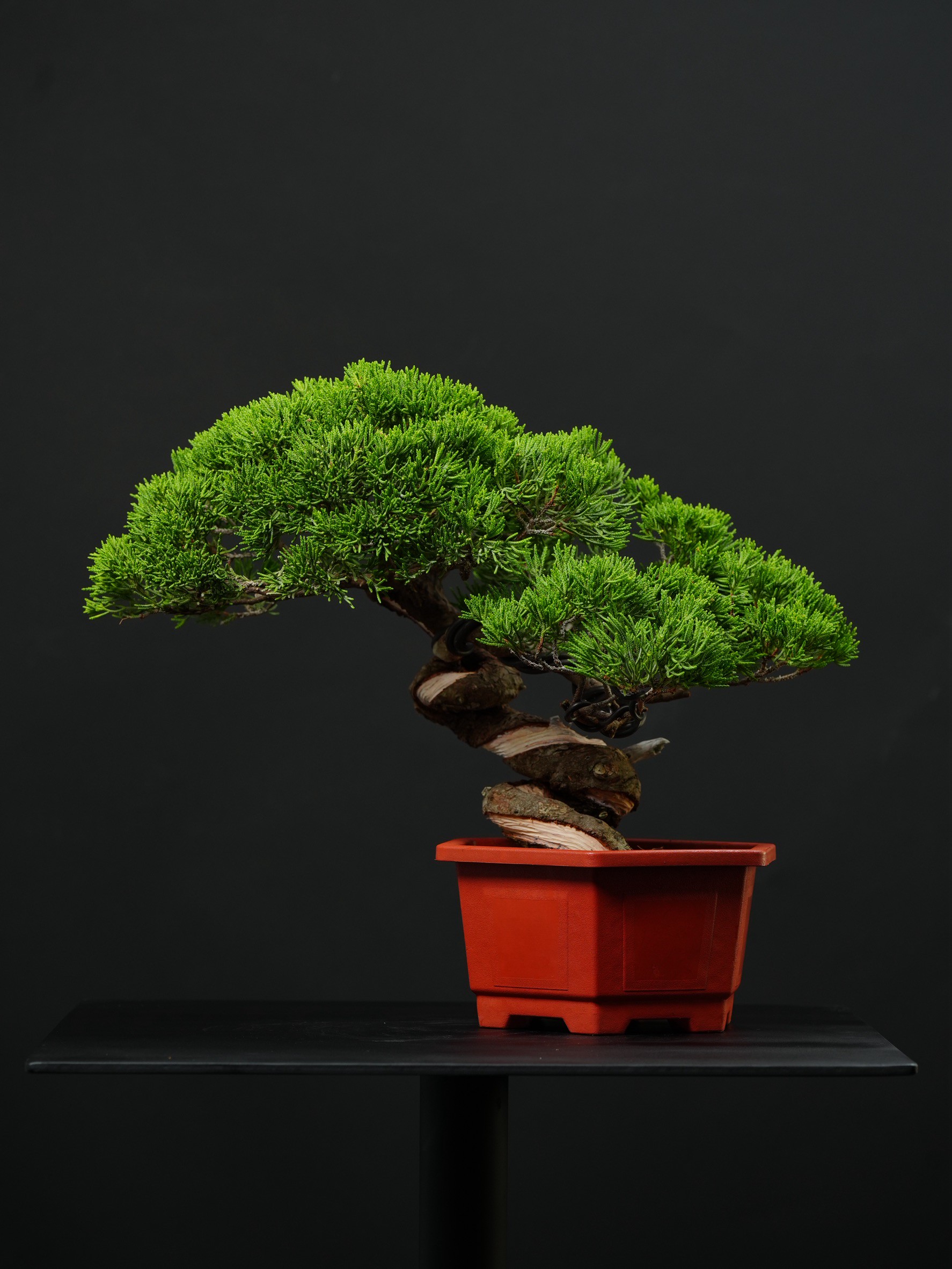 尺寸：寬41CM 高37CM 深33CM