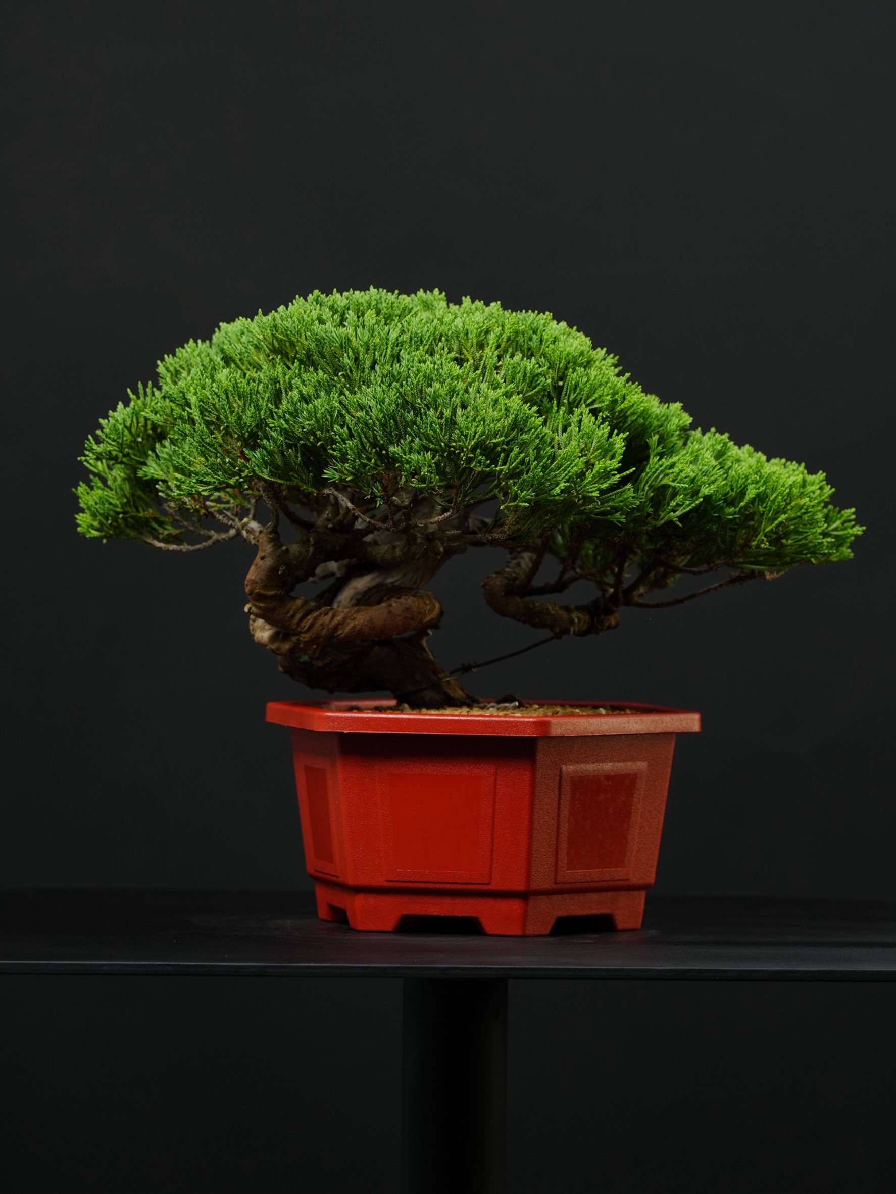 尺寸：寬37CM 高29CM 深31CM