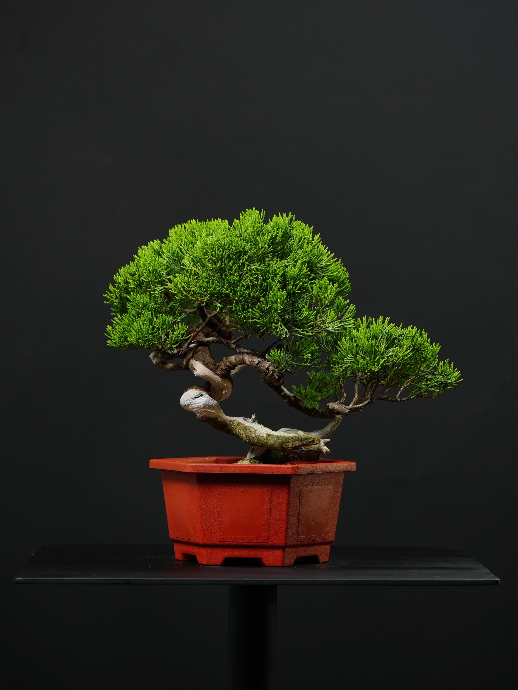 尺寸：寬36CM 高35CM 深26CM