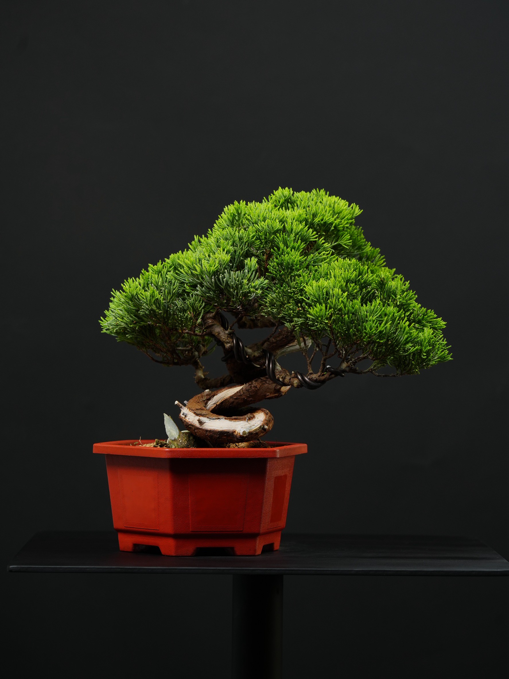 尺寸：寬40CM 高34CM 深30CM
