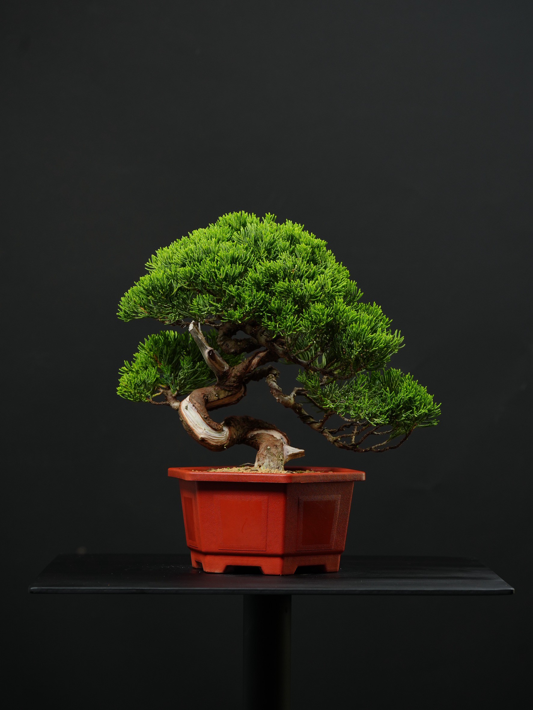尺寸：寬35CM 高35CM 深25CM