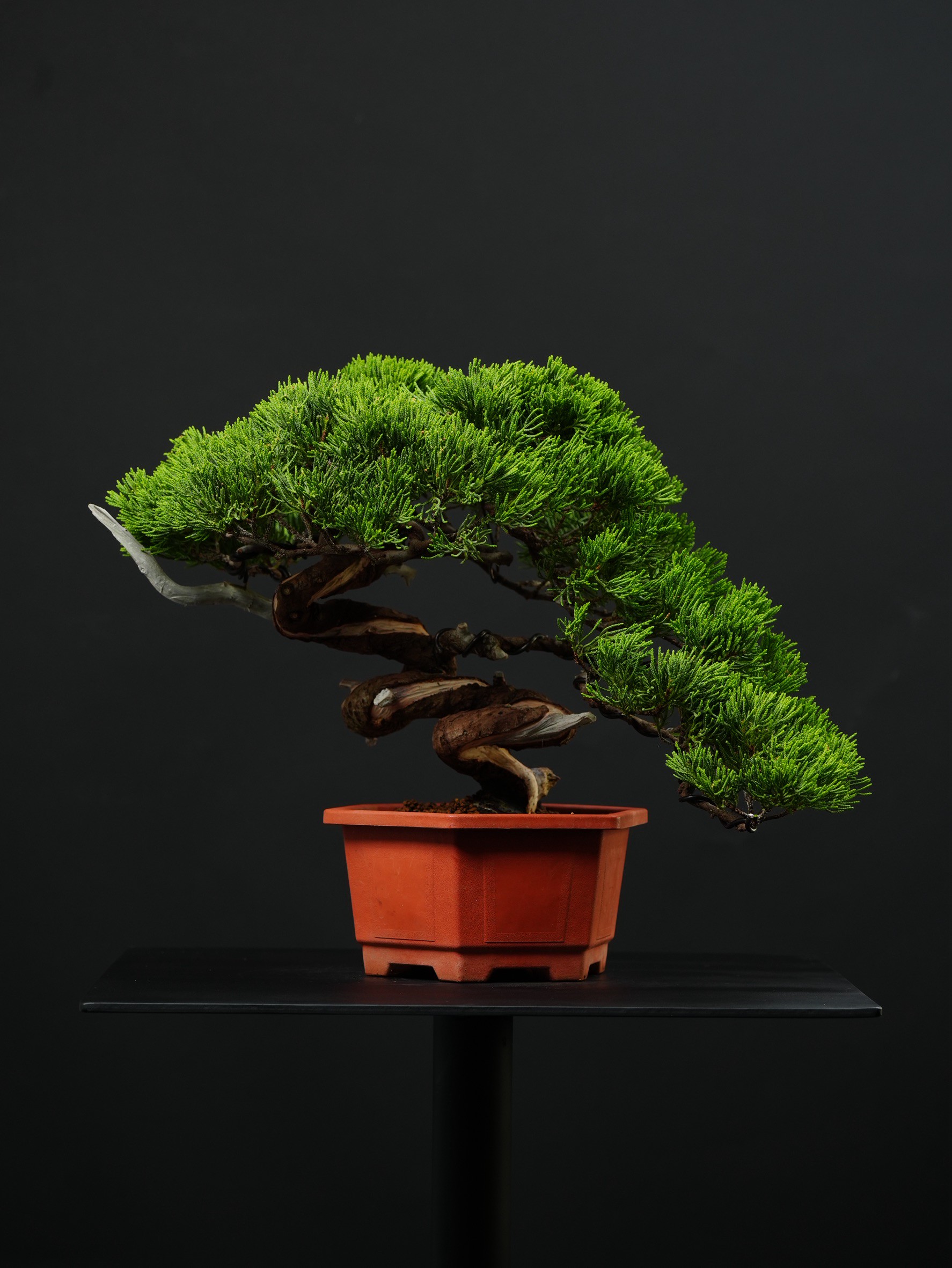 尺寸：寬51CM 高38CM 深38CM
