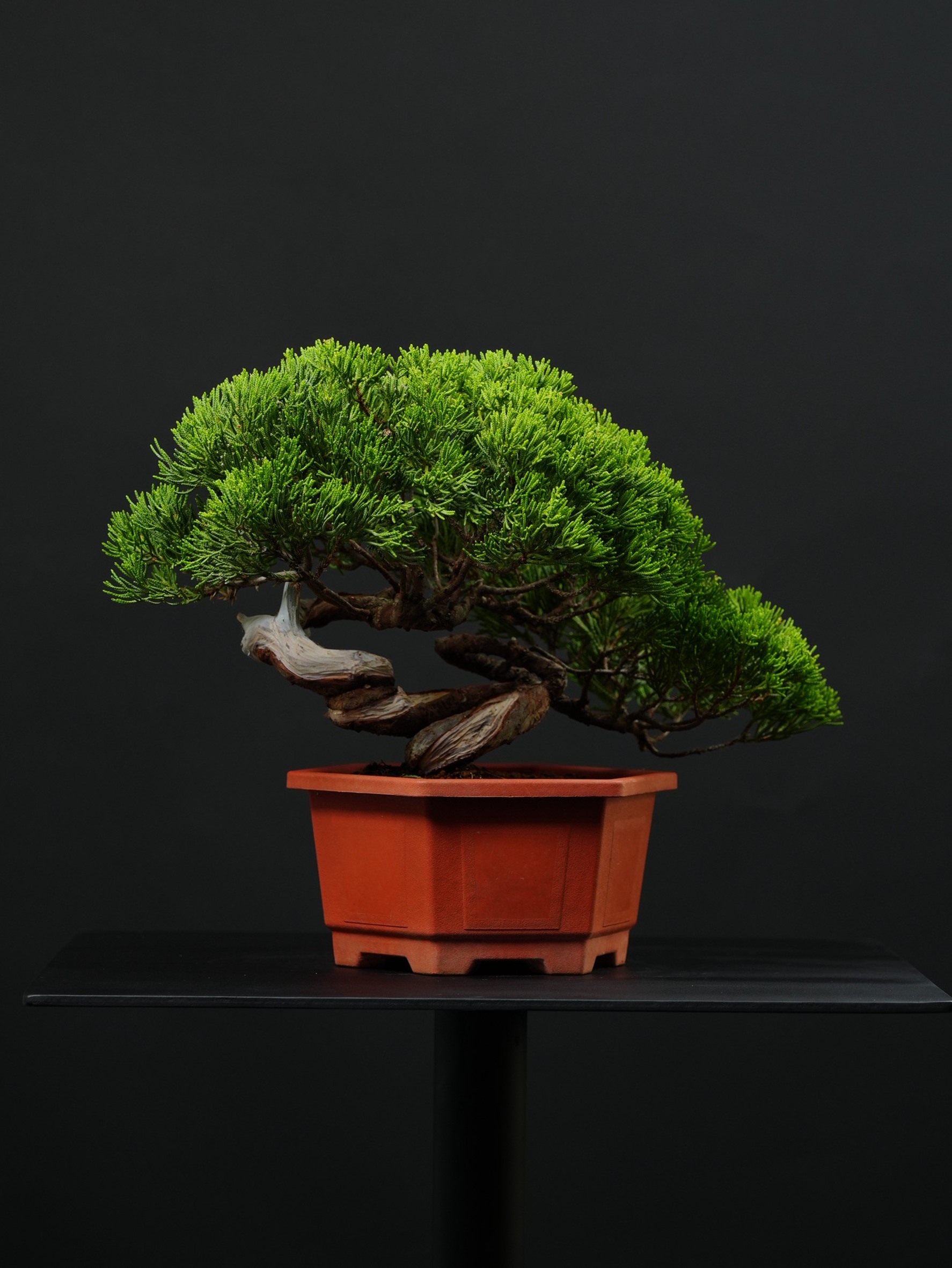 尺寸：寬41CM 高31CM 深28CM
