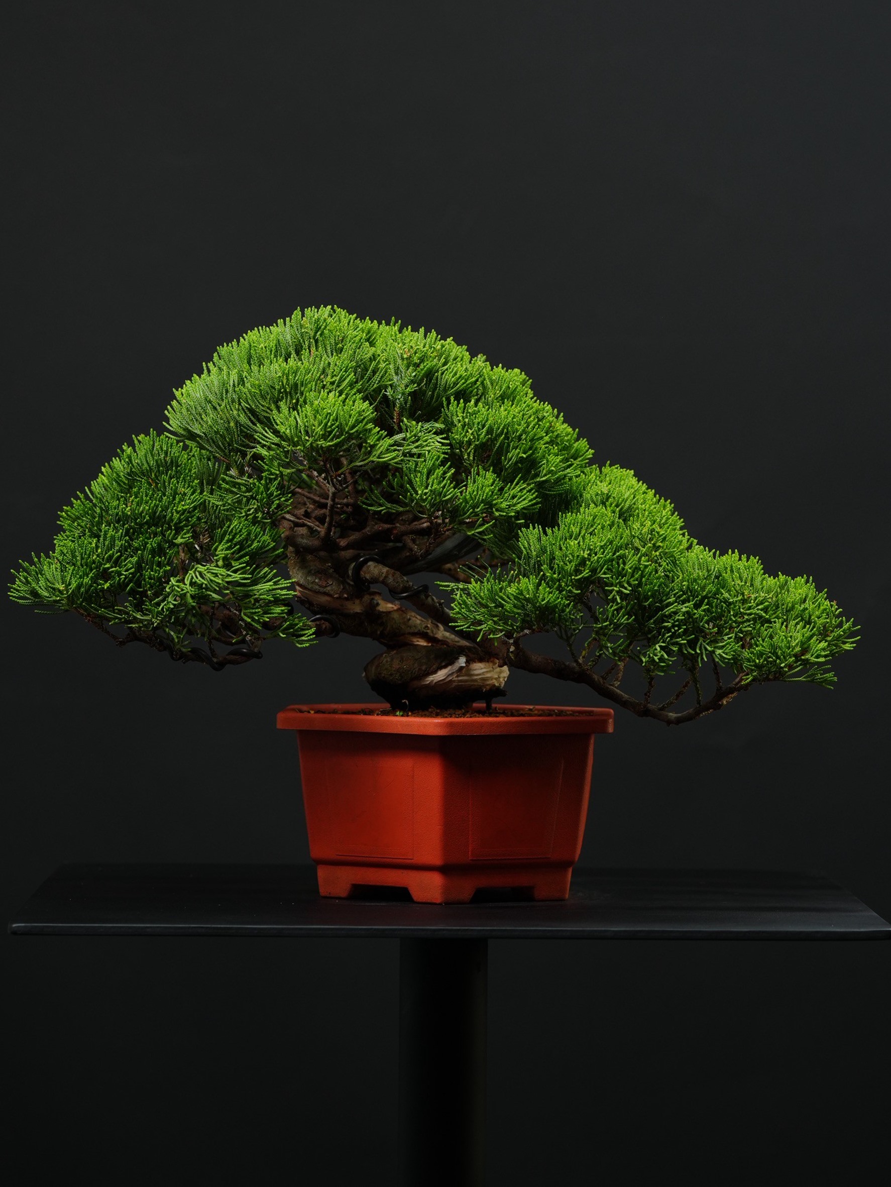 尺寸：寬44CM 高30CM 深32CM