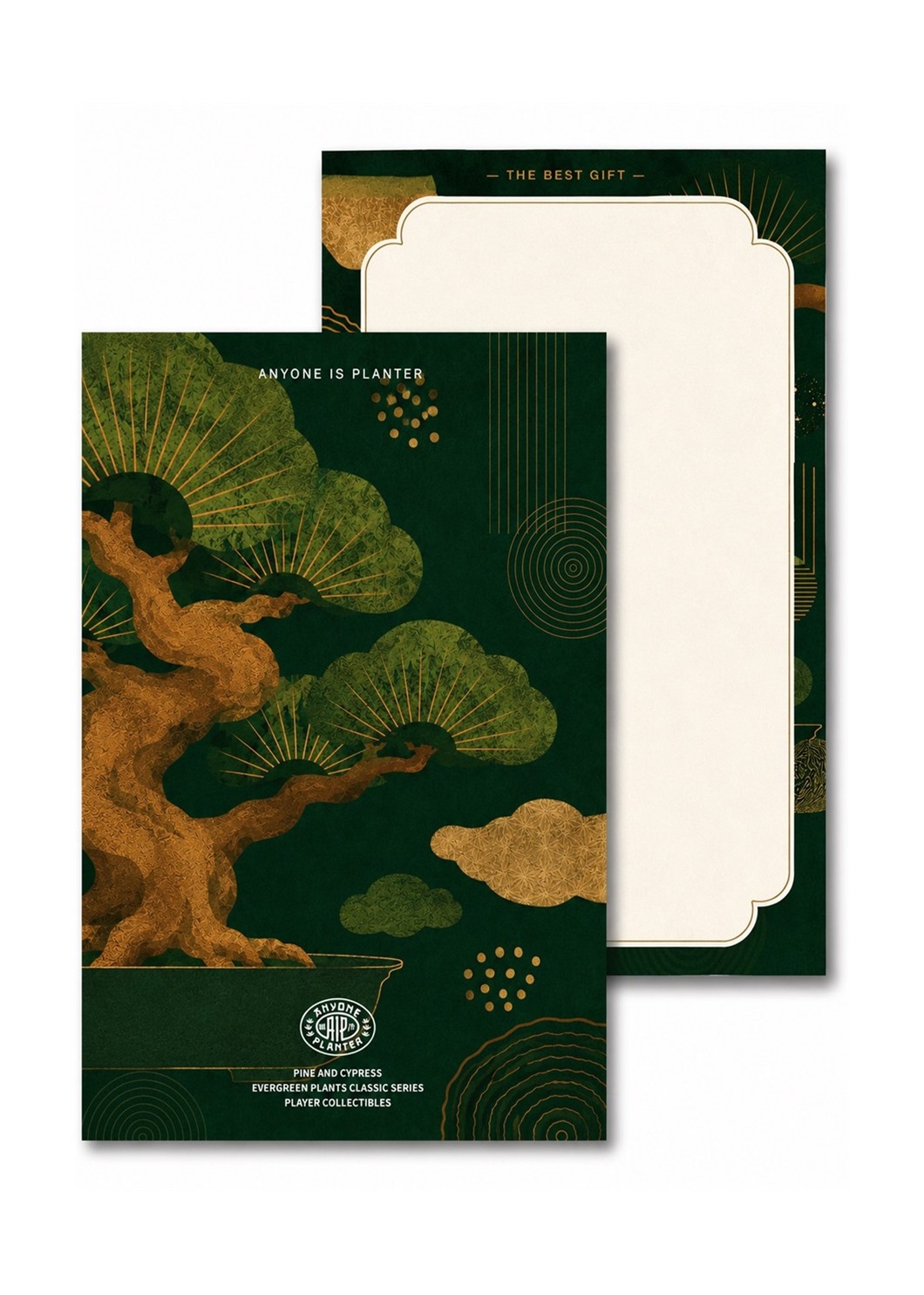 AIP GIFT POSTCARD TYPE B
